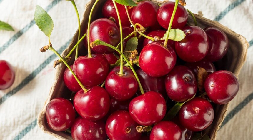 The Health Benefits of Tart Cherries: From Muscle Recovery to Sleep