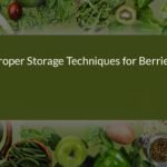 Mastering Proper Storage Techniques for Berries: A Comprehensive Guide