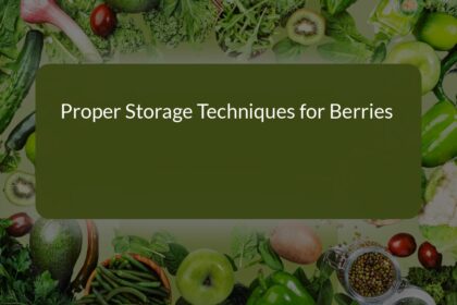 Mastering Proper Storage Techniques for Berries: A Comprehensive Guide