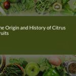 The Fascinating Origin and History of Citrus Fruits