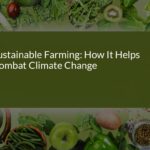 Sustainable Farming: How It Helps Combat Climate Change