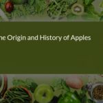 The Fascinating Origin and History of Apples: A Journey from Wild Fruit to Global Favorite