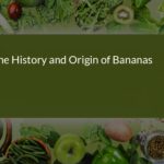 The Fascinating History and Origin of Bananas: From Ancient Tropics to Modern Agriculture