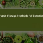 Proper Storage Methods for Bananas: Keep Your Fruit Fresh and Delicious